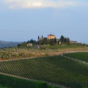 Damario Panorama Pensión